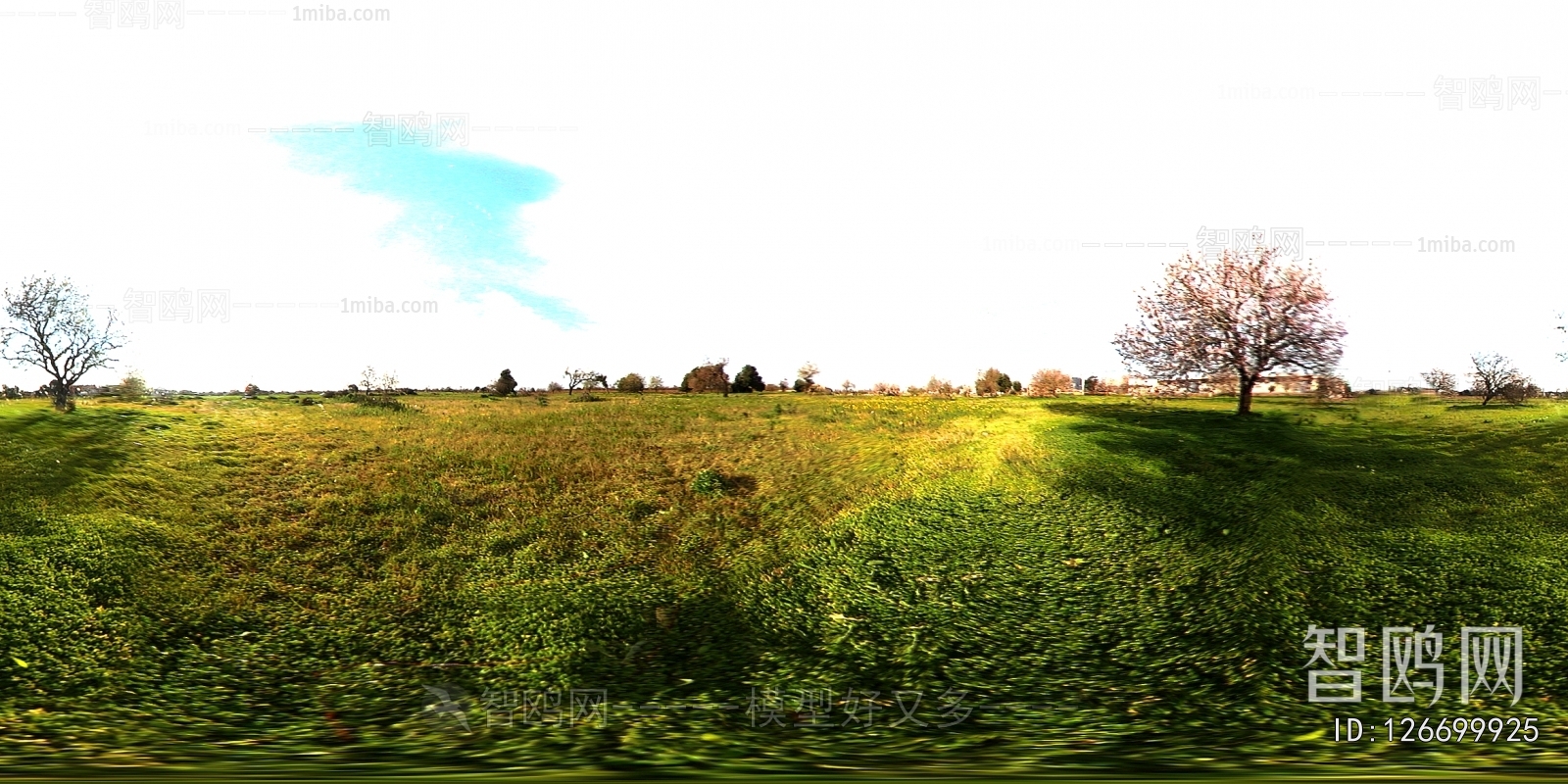 The Environment