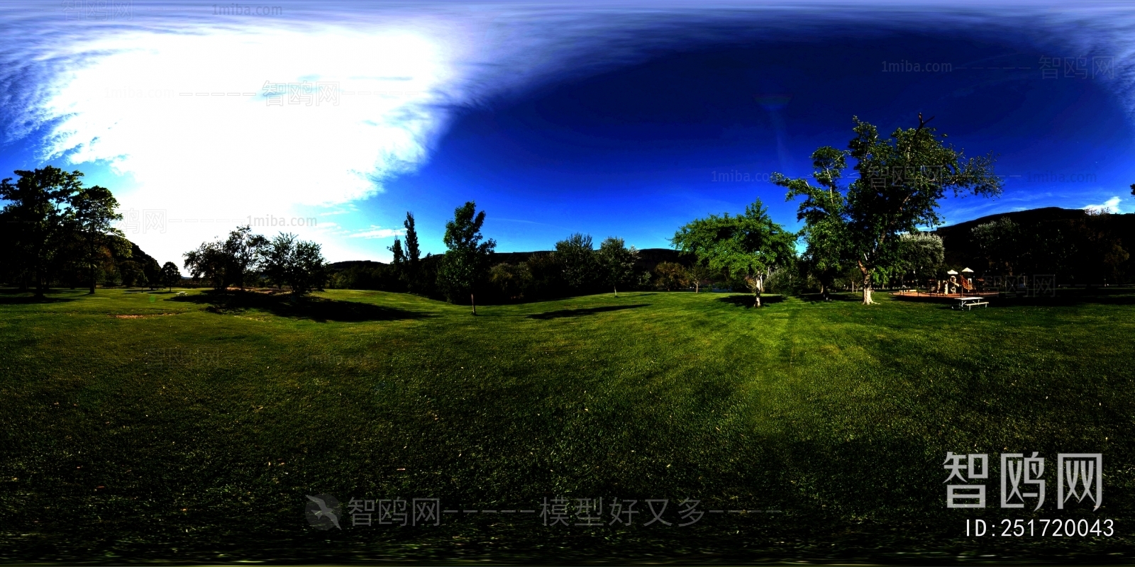 The Environment