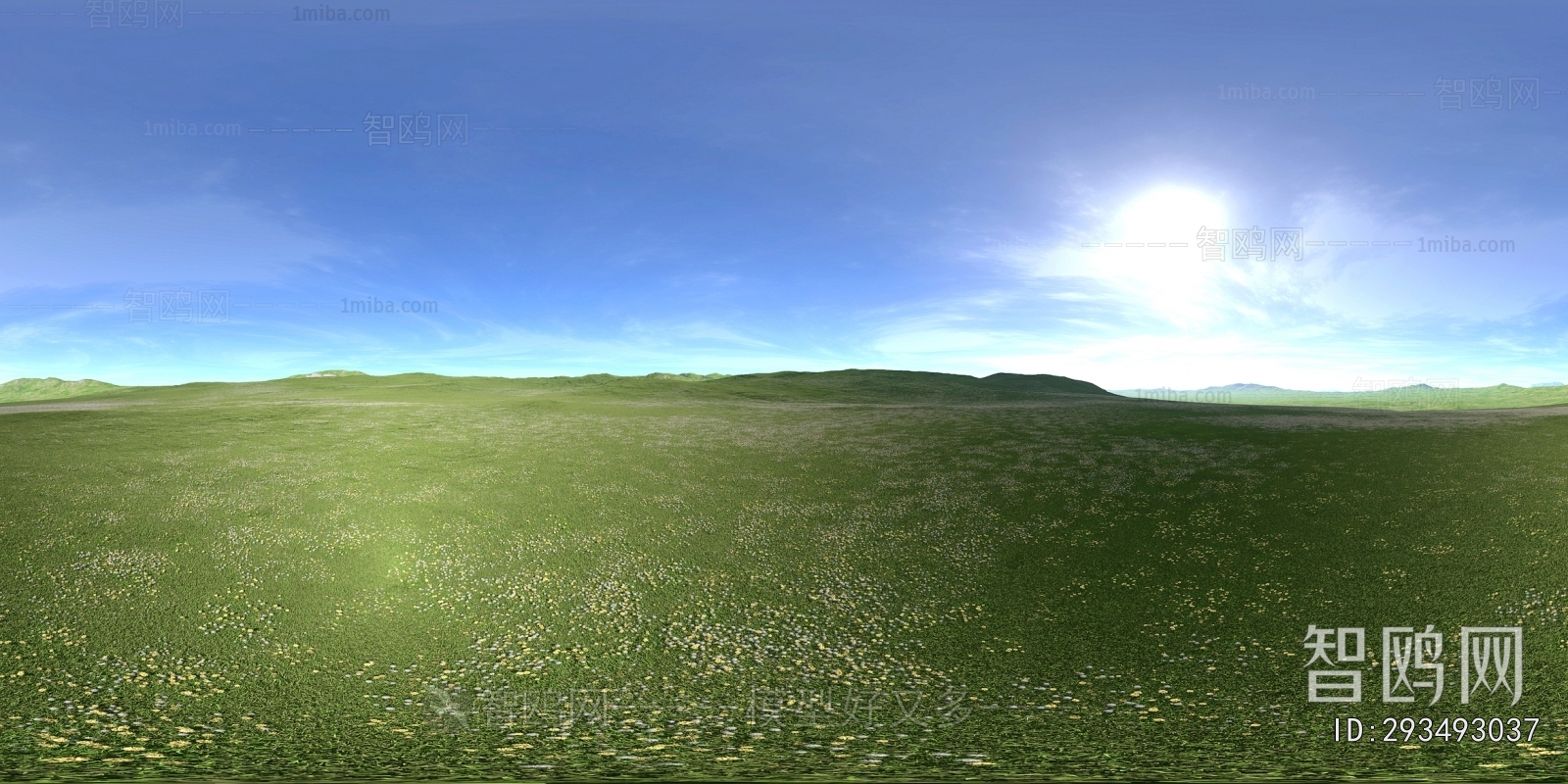 The Environment