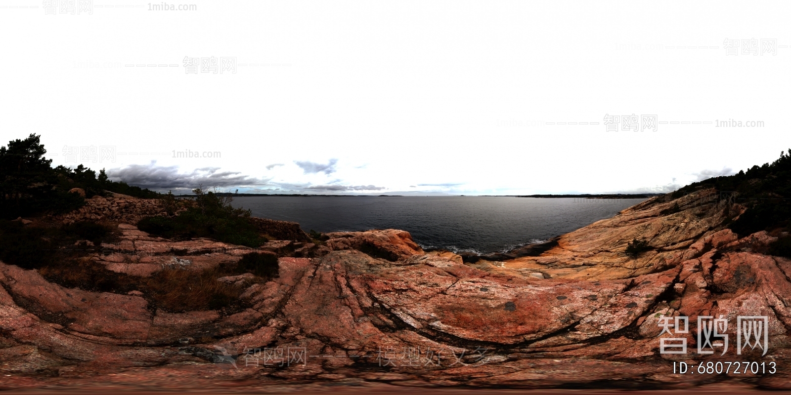 The Environment