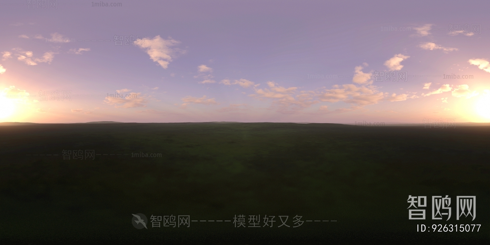 The Environment