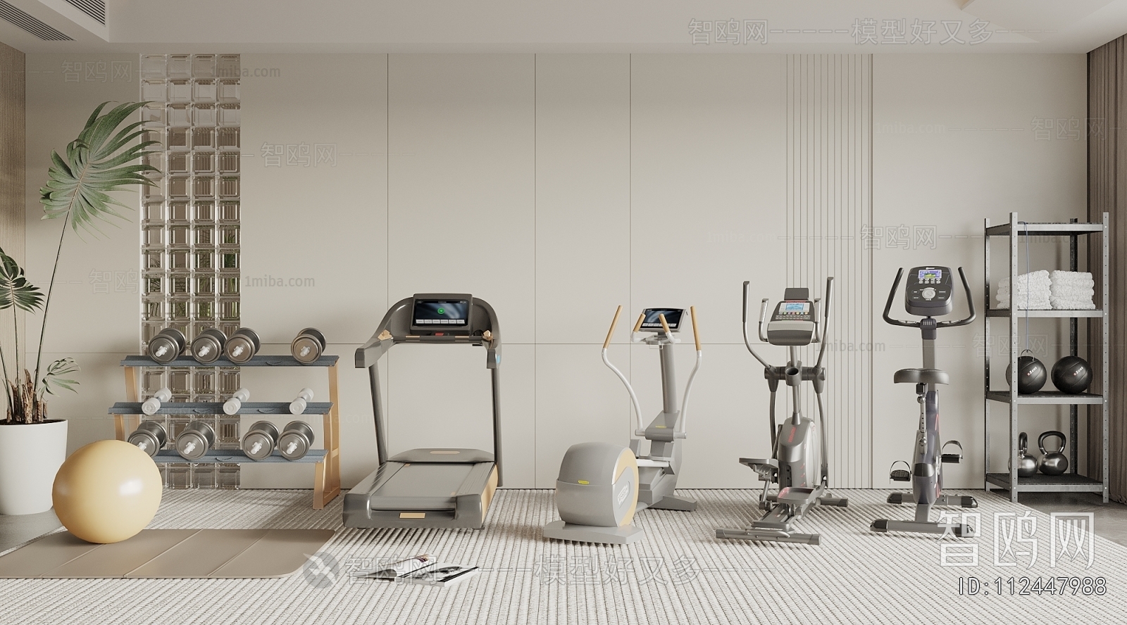 Modern Home Fitness Room