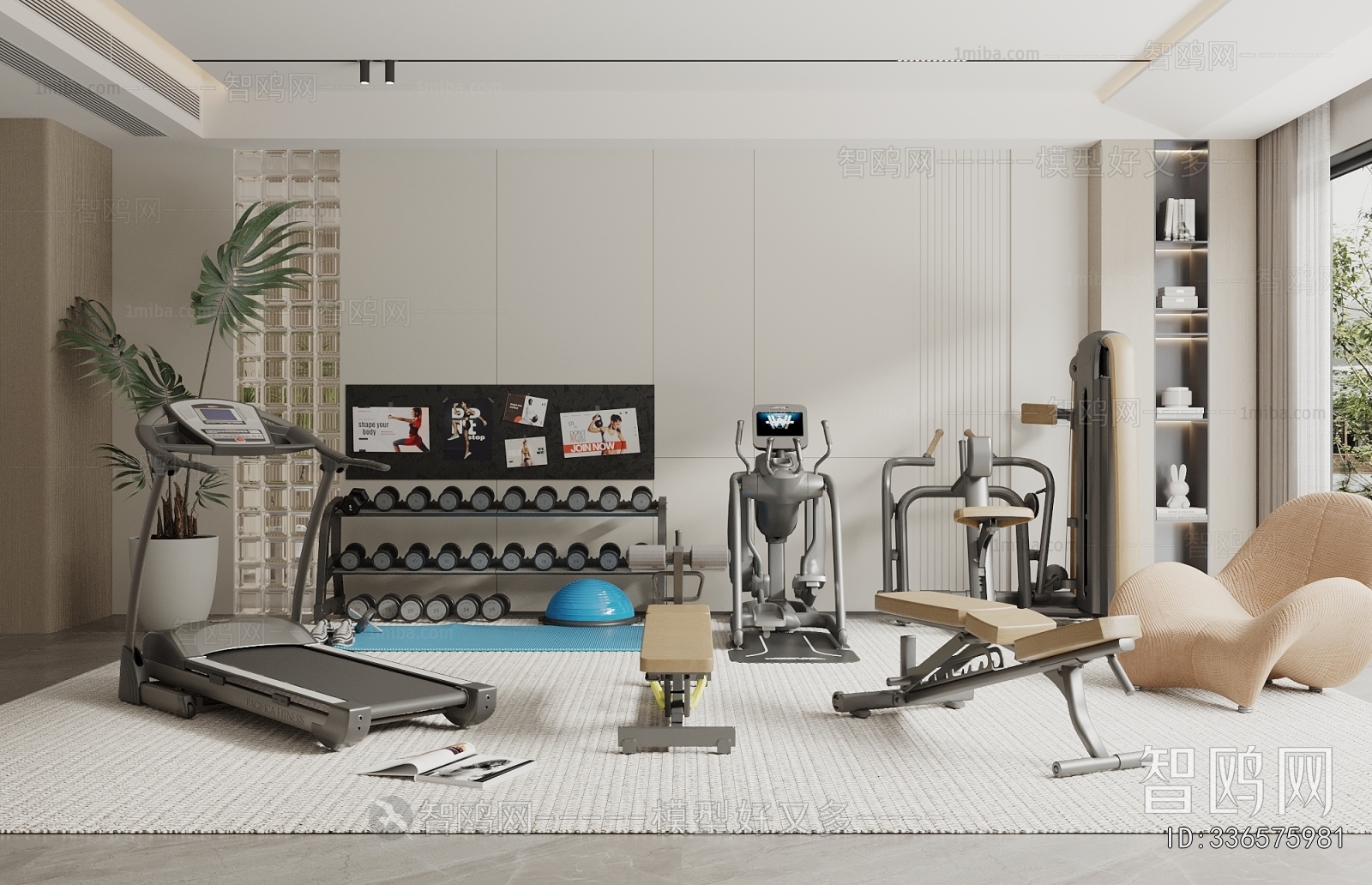Modern Home Fitness Room
