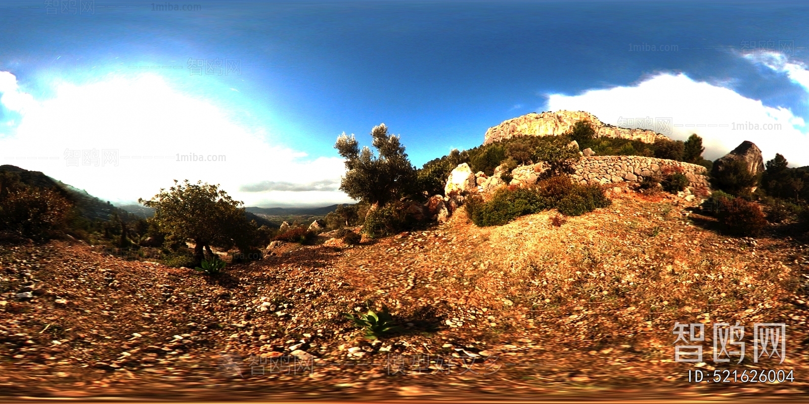 The Environment