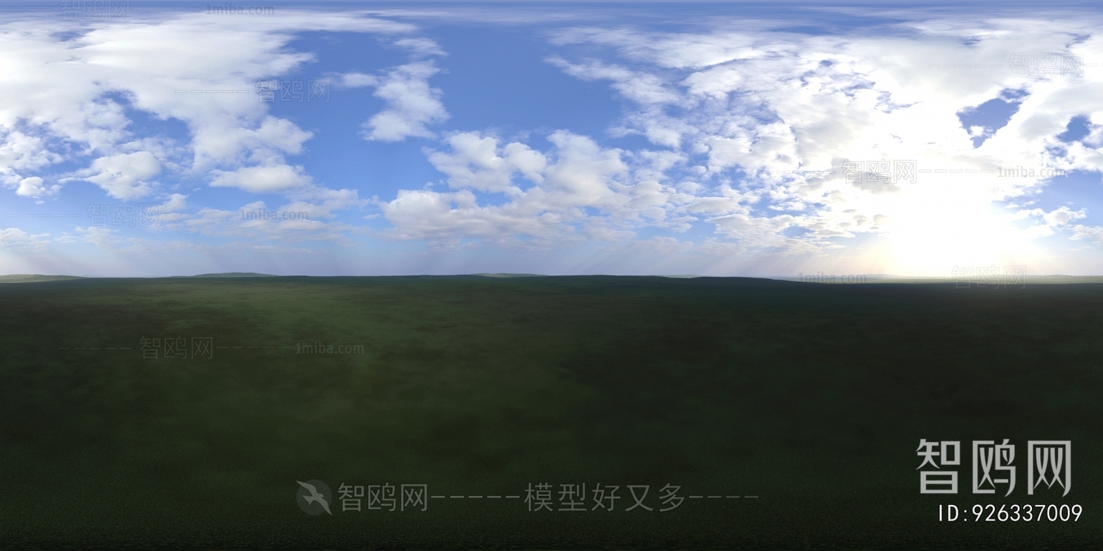 The Environment