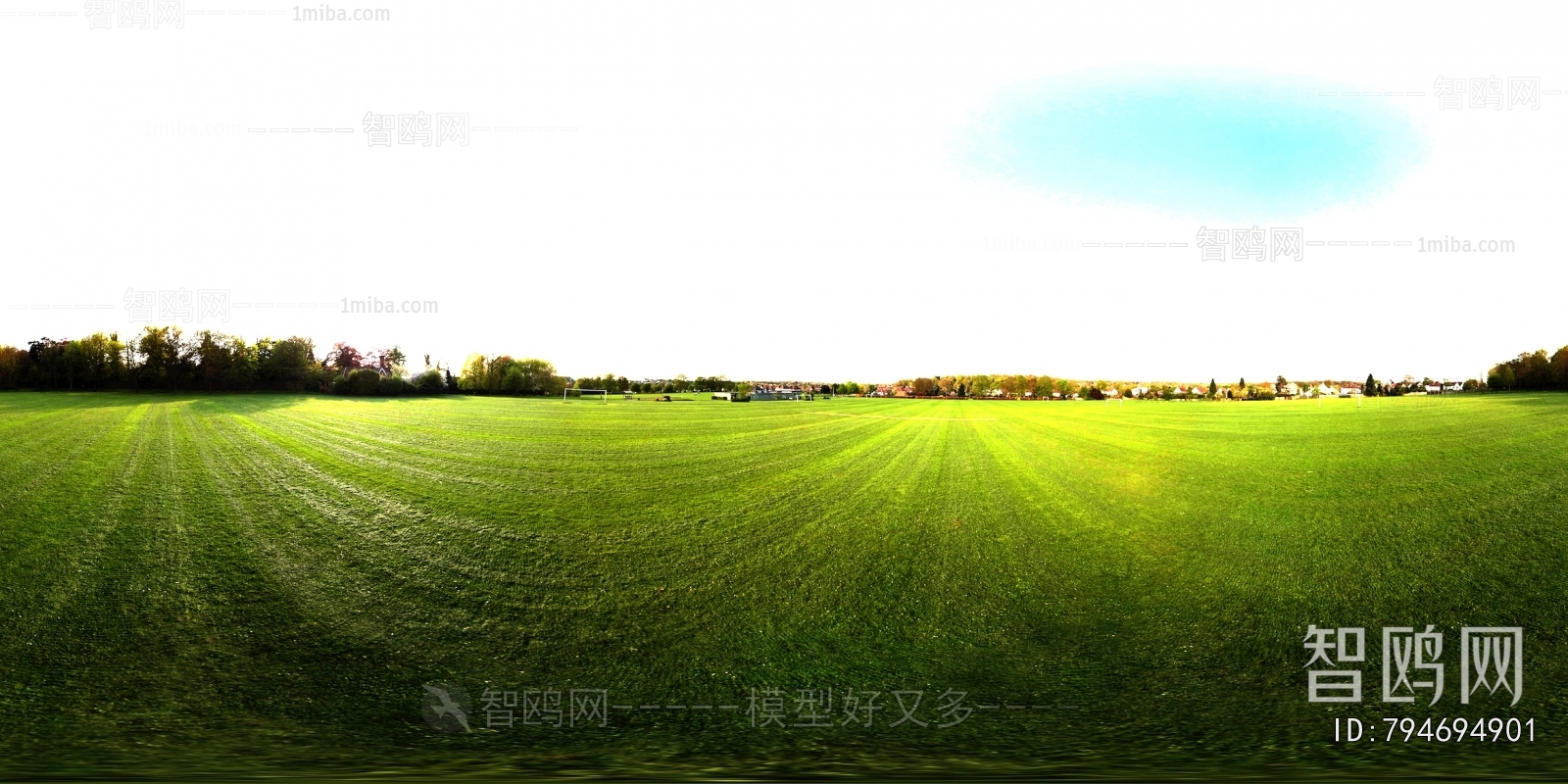 The Environment