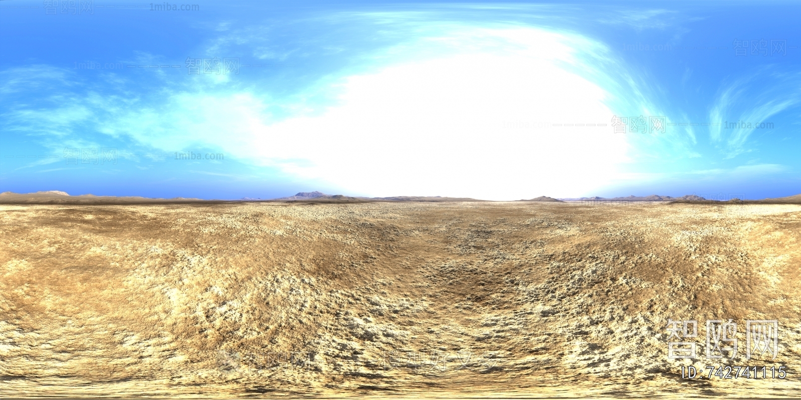 The Environment