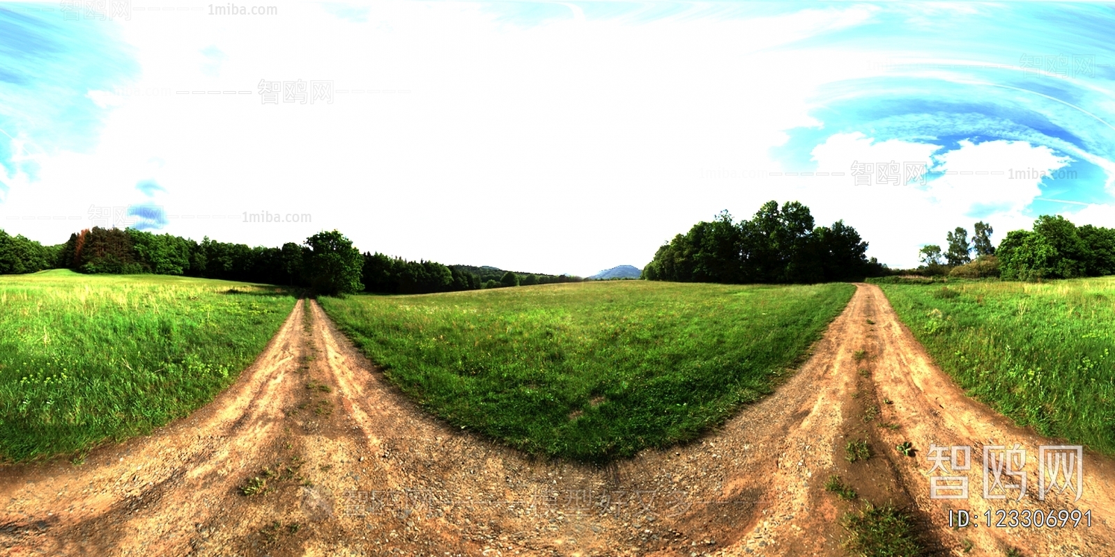 The Environment