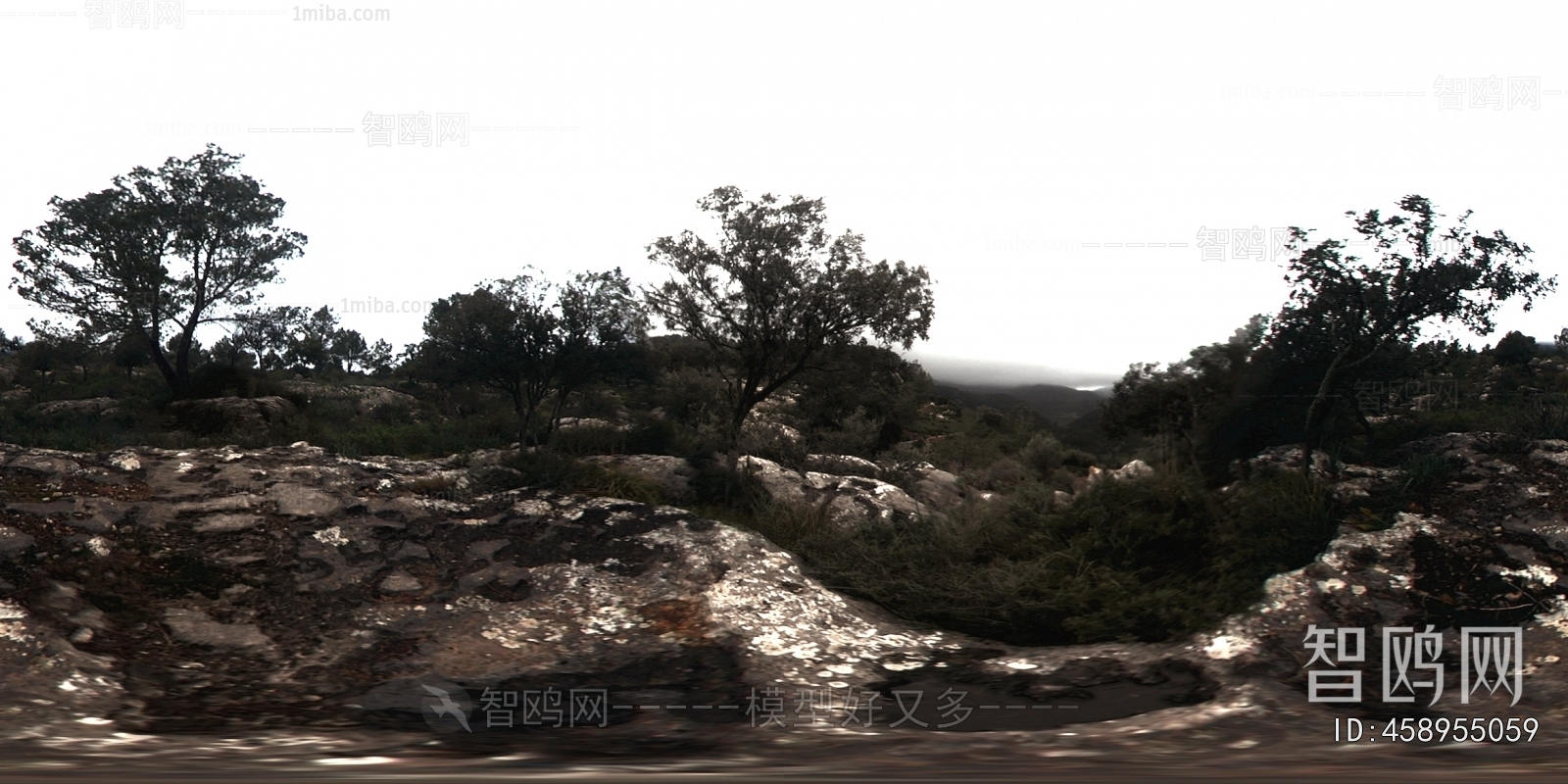 Scenery
