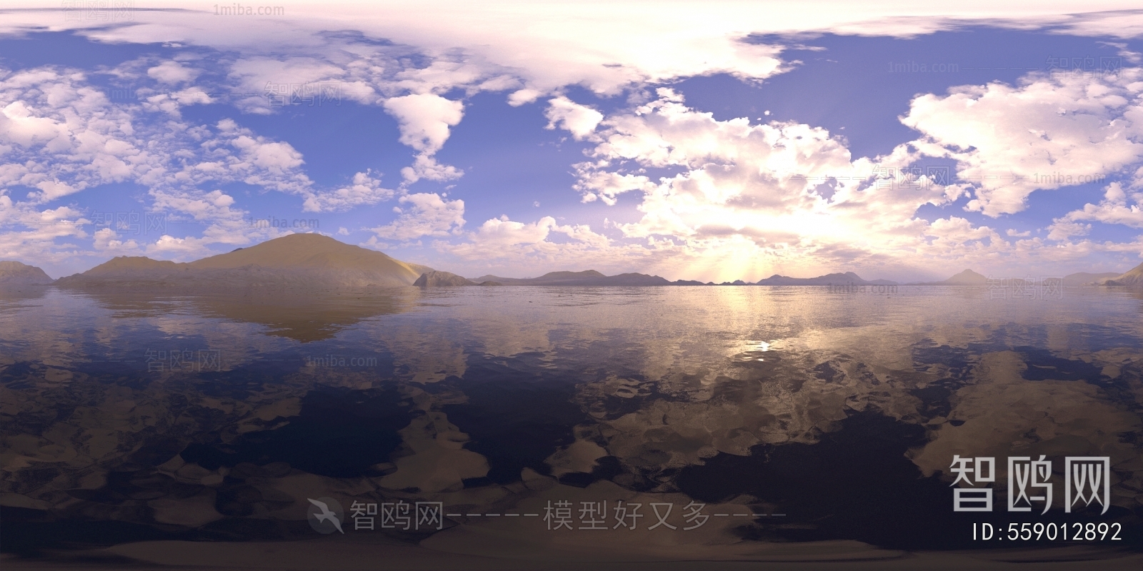 The Environment
