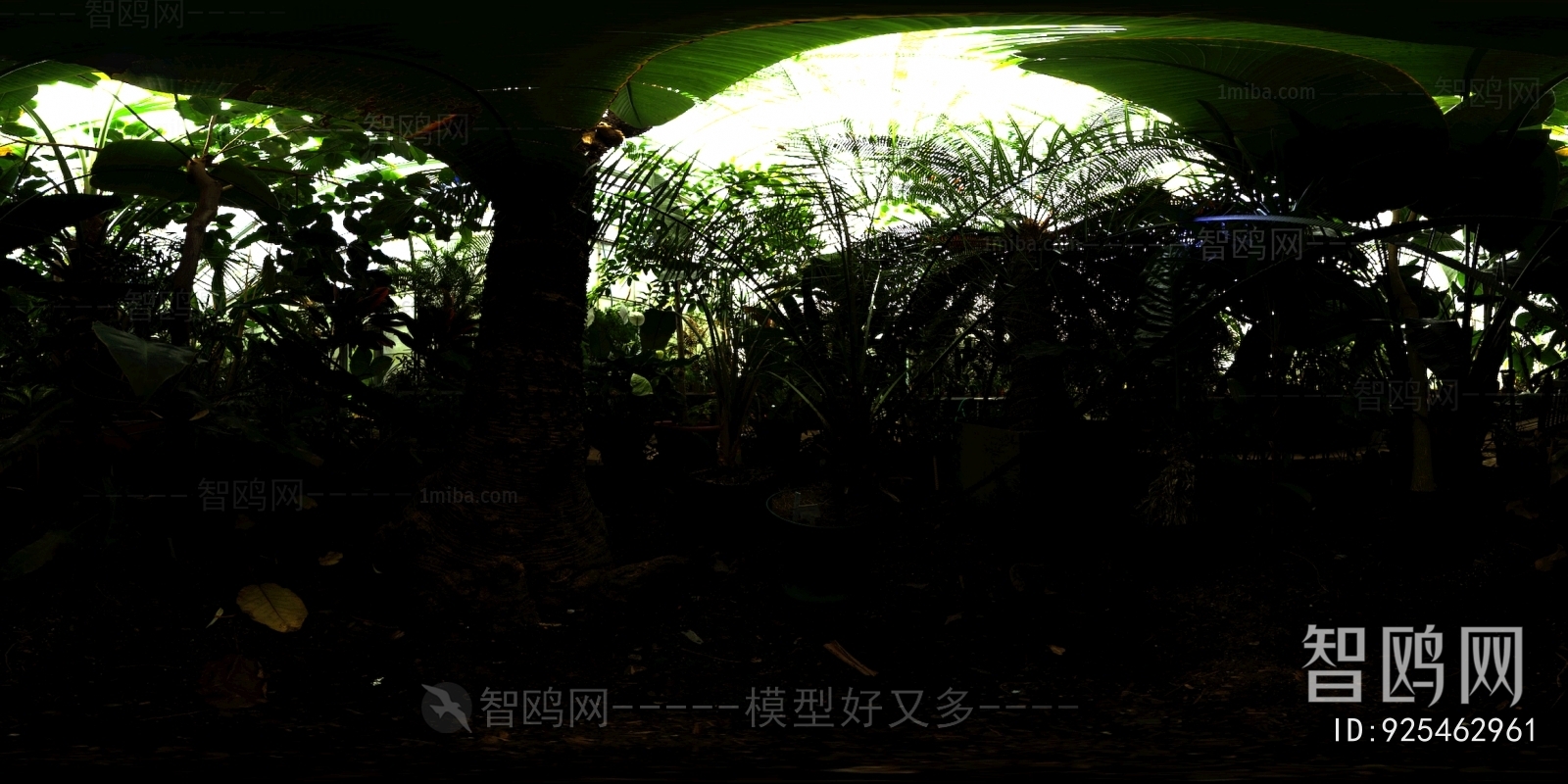 The Environment