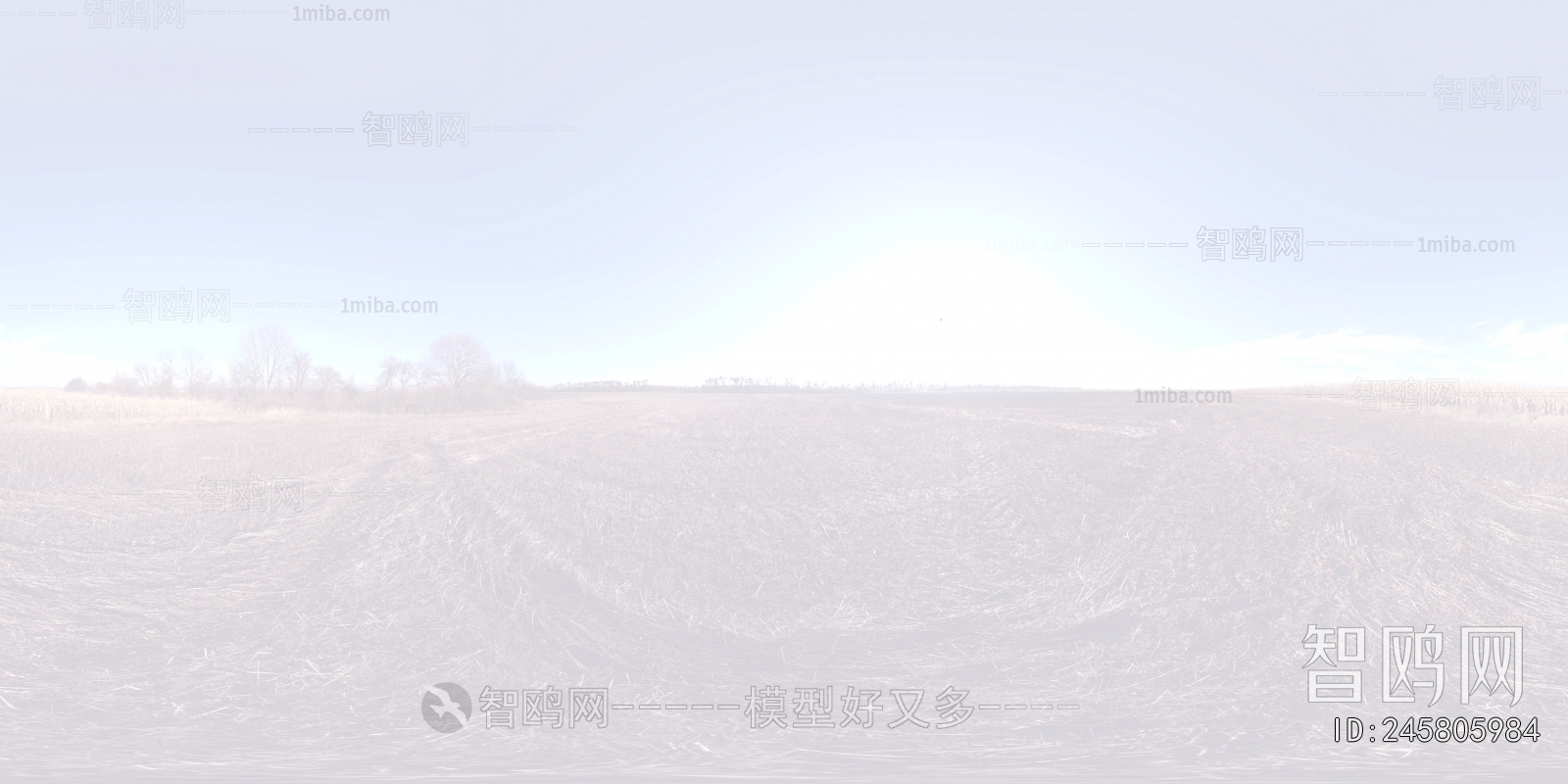 The Sky