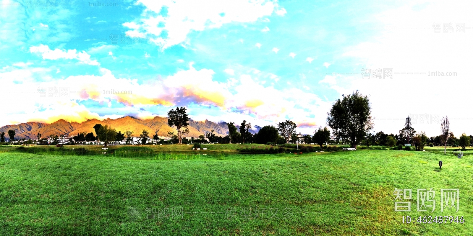 The Environment