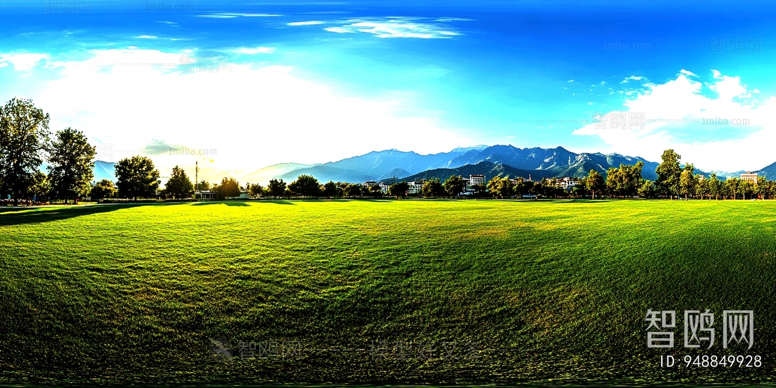 The Environment