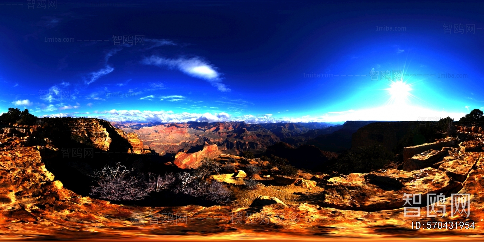 The Environment