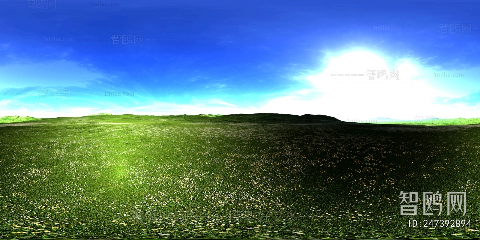The Environment