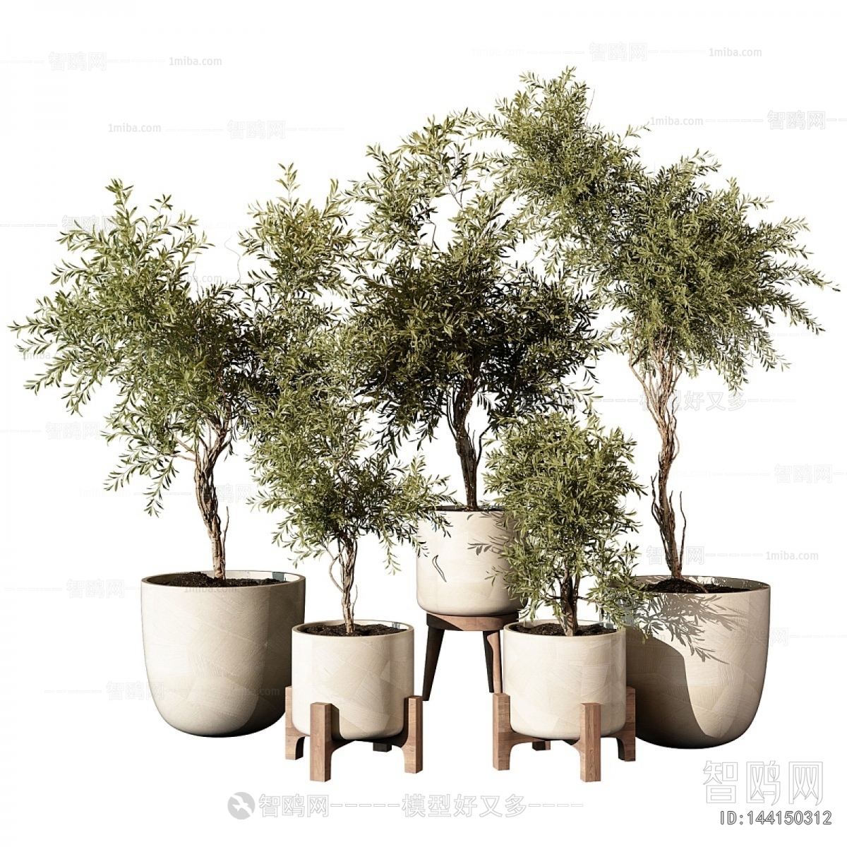 Modern Ground Green Plant Potted Plants