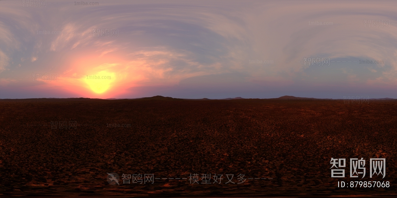 The Environment