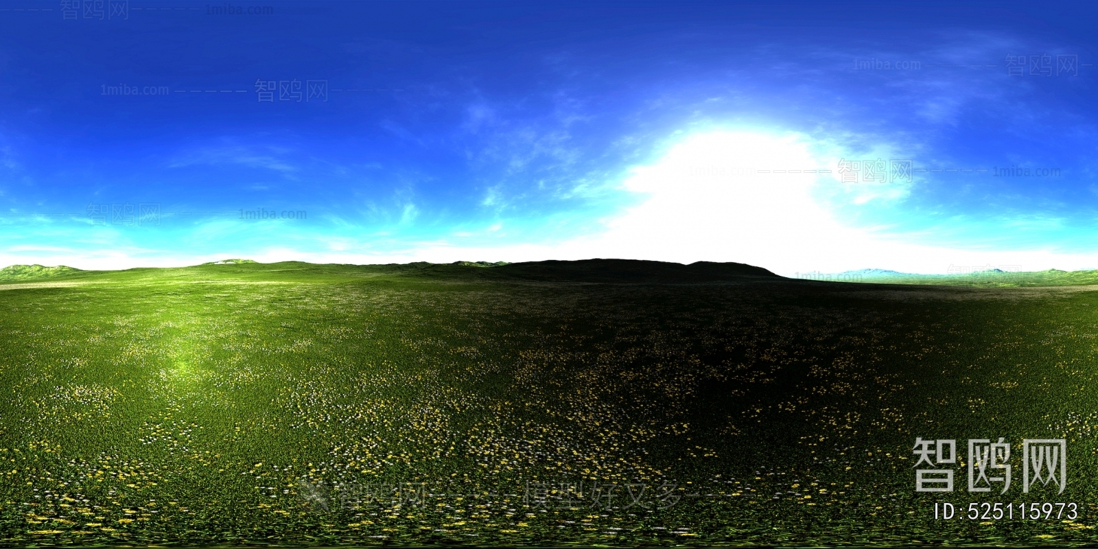 The Environment