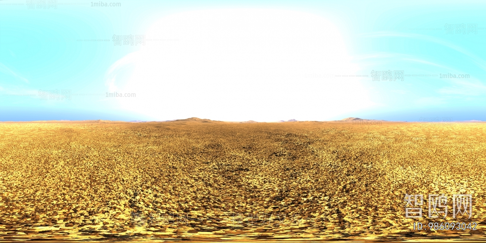 The Environment