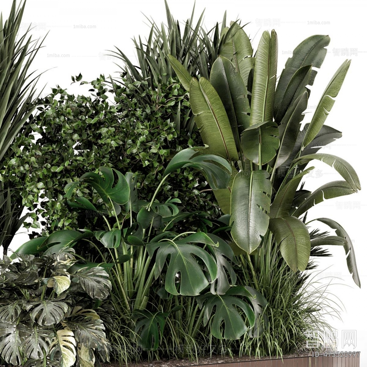Modern Plant Pile