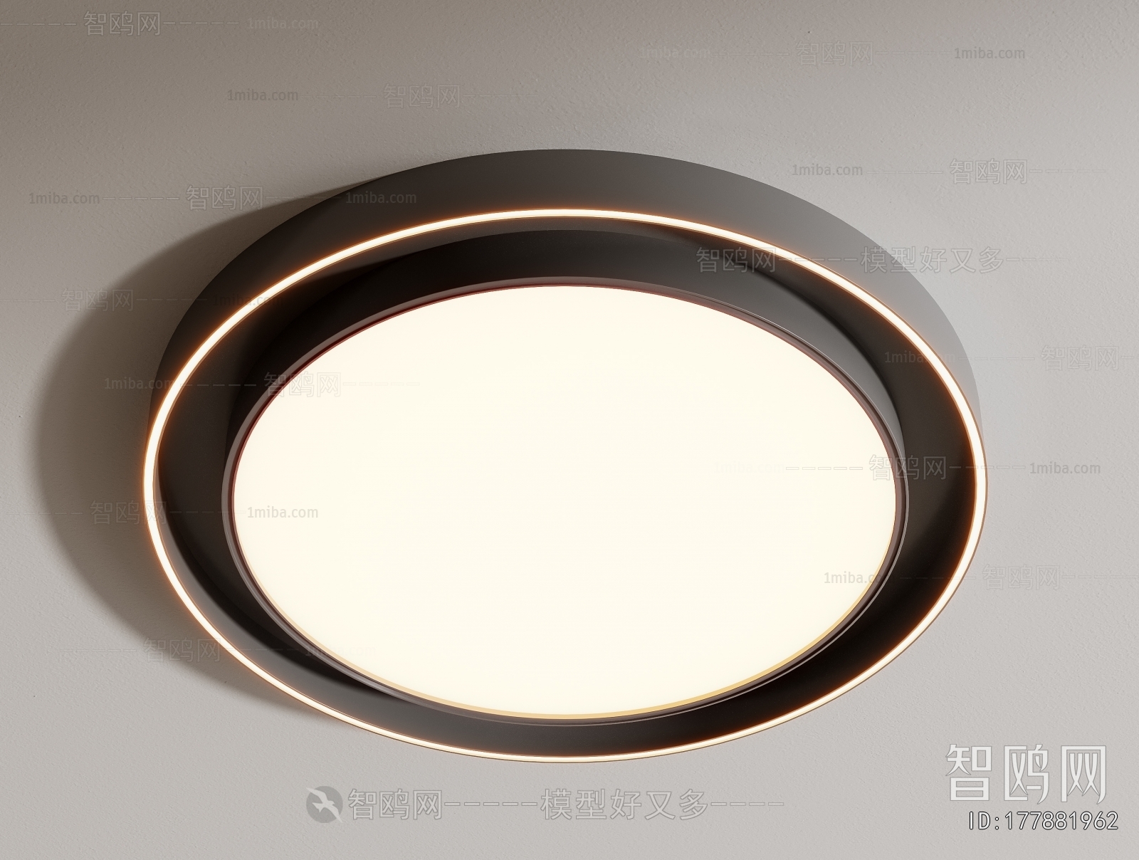 Modern Ceiling Ceiling Lamp