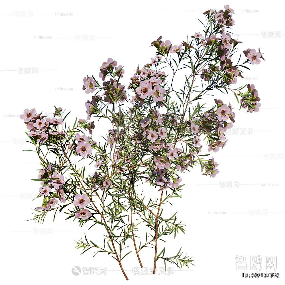 Modern Flowers And Grass