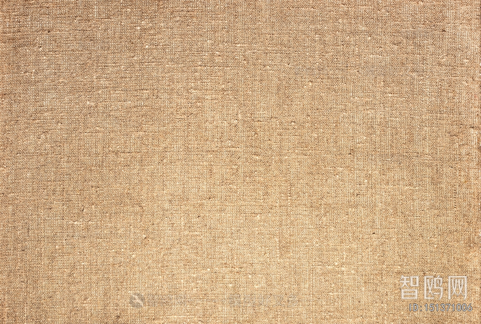 Wall Covering