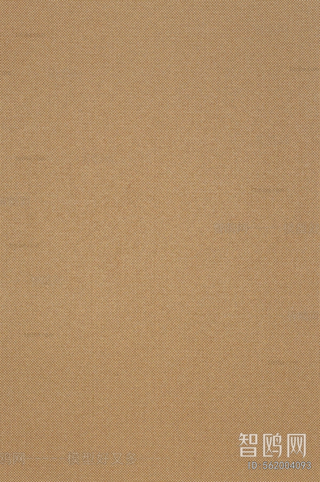 Wall Covering