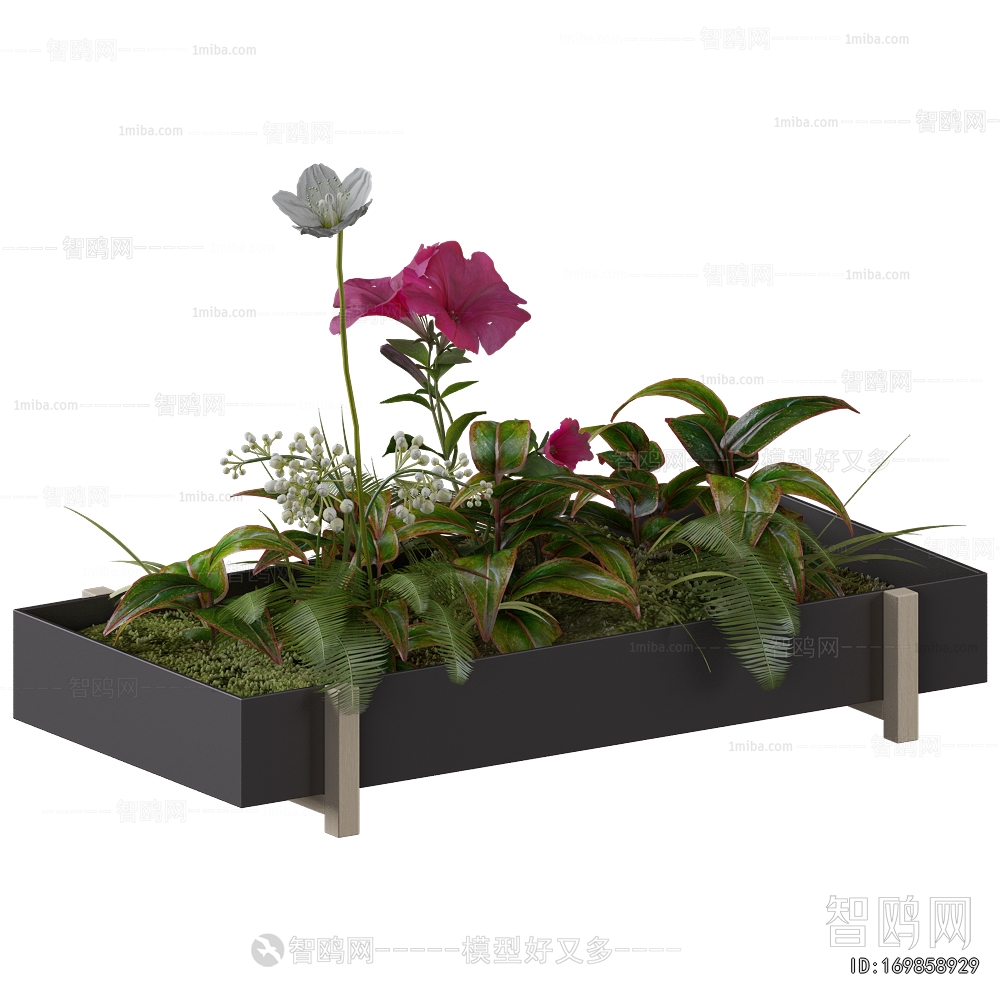 Modern Flower Bed, Flower Bowl, Flower Box