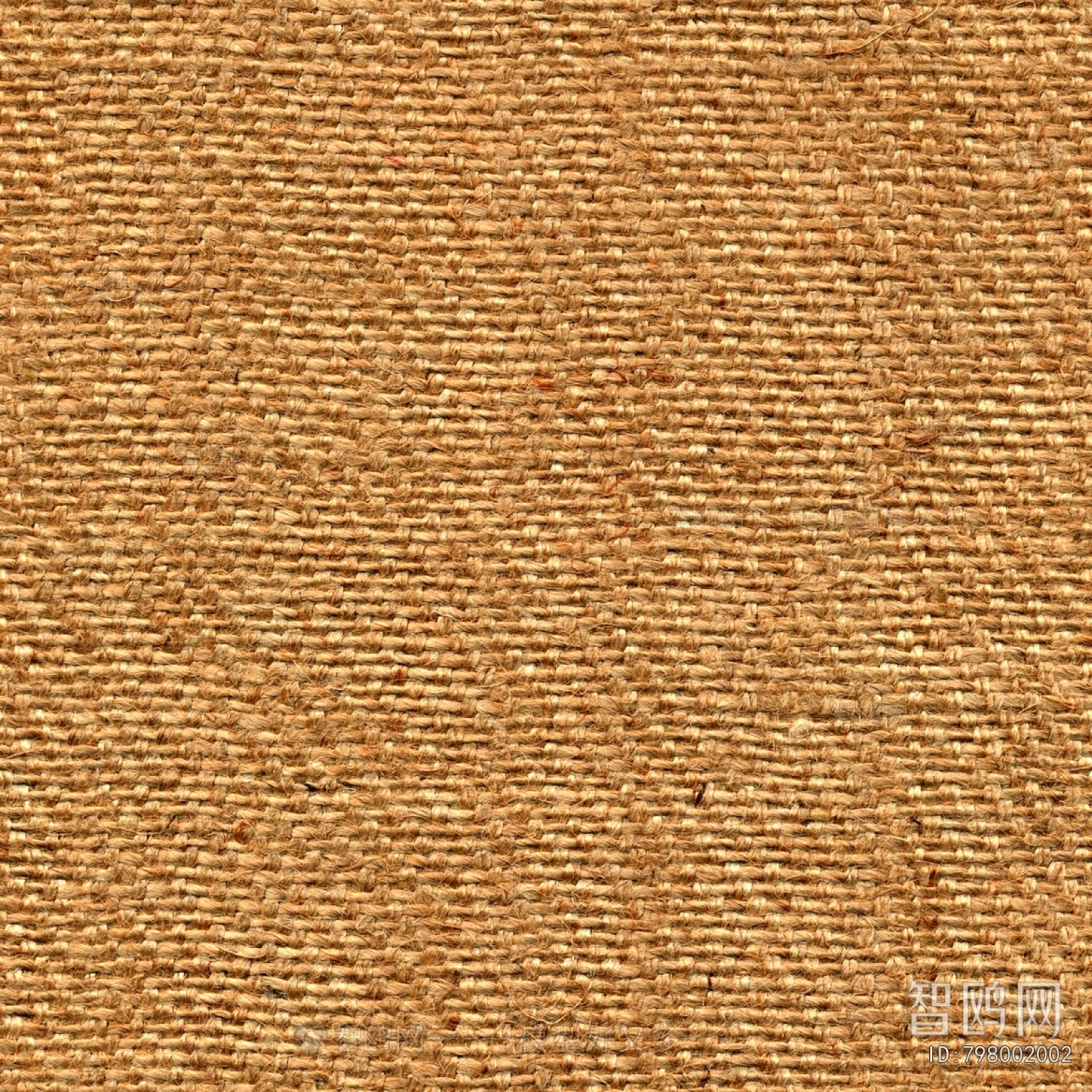 Wall Covering