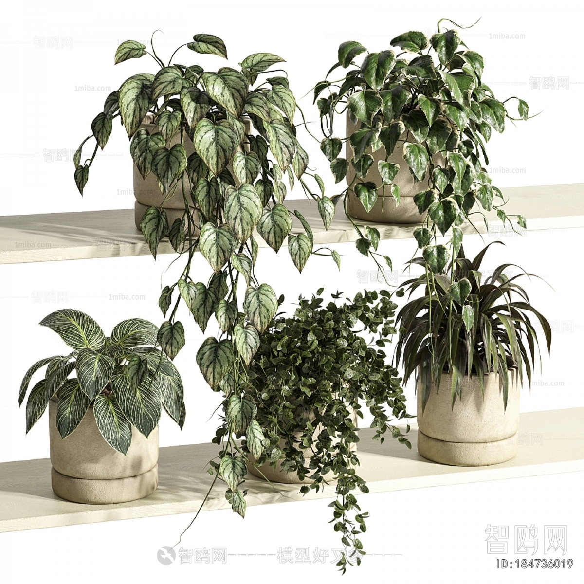 Nordic Style Potted Green Plant