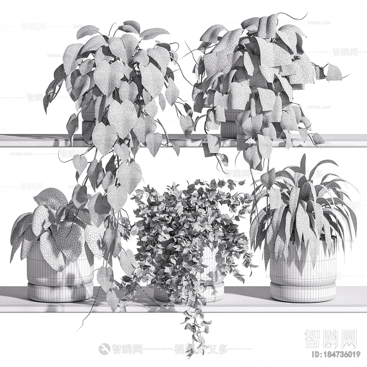 Nordic Style Potted Green Plant