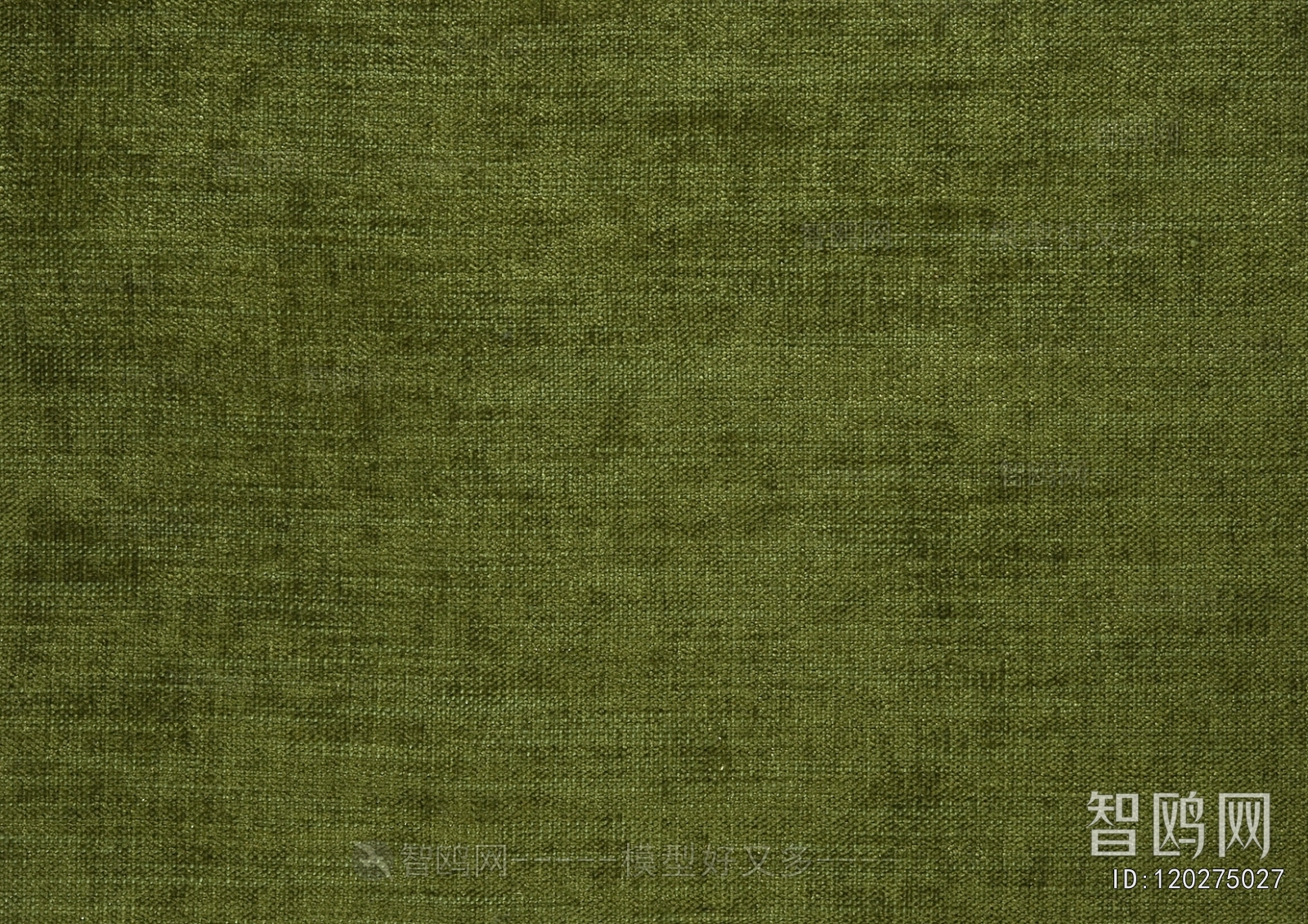Wall Covering
