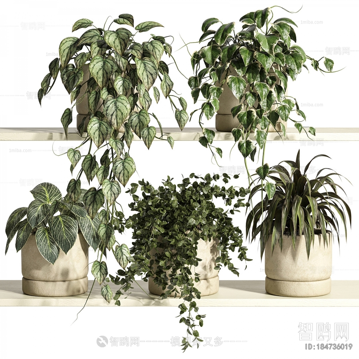 Nordic Style Potted Green Plant