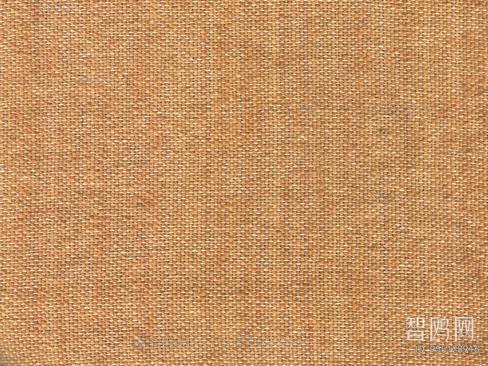 Wall Covering