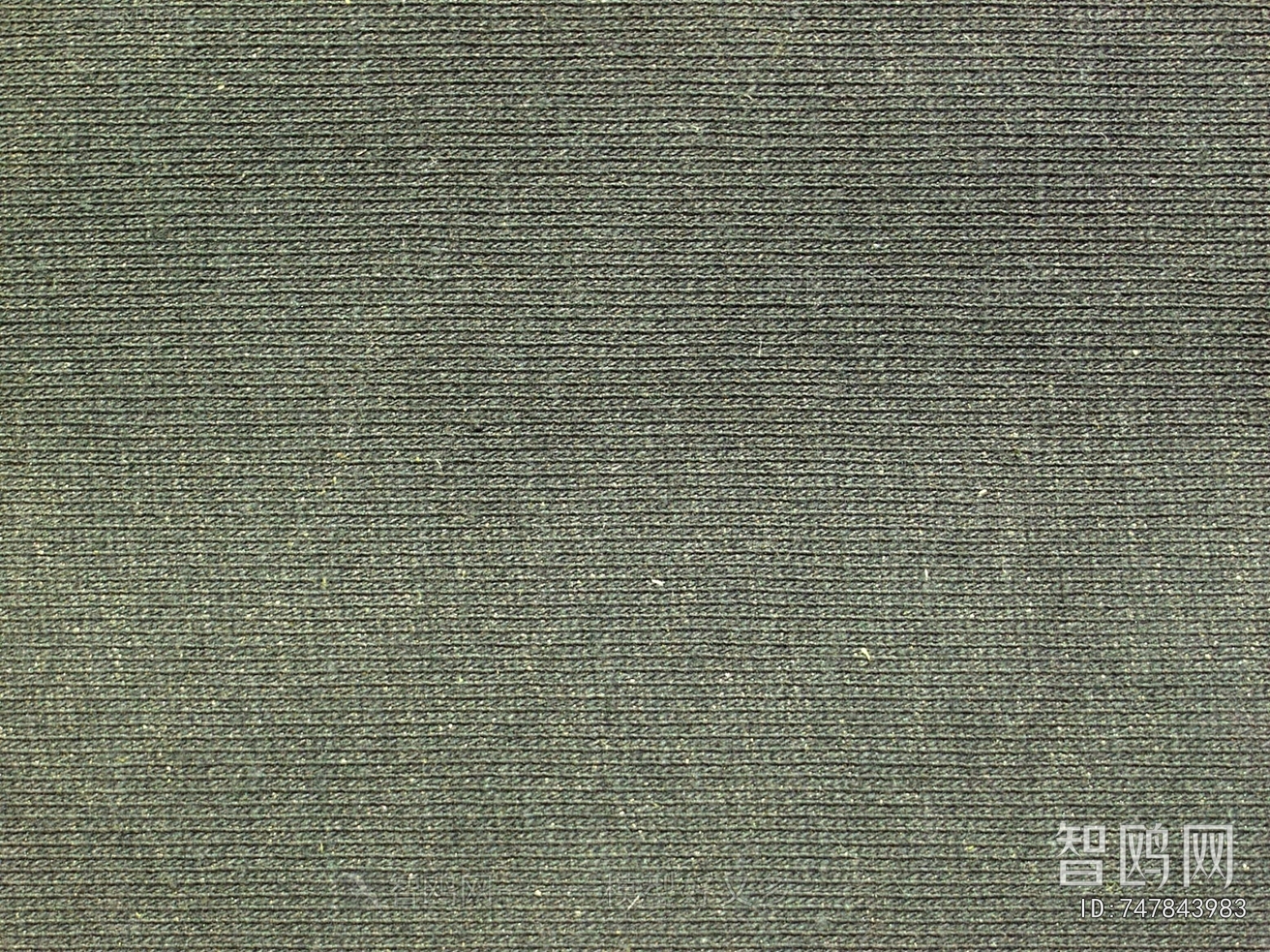 Wall Covering