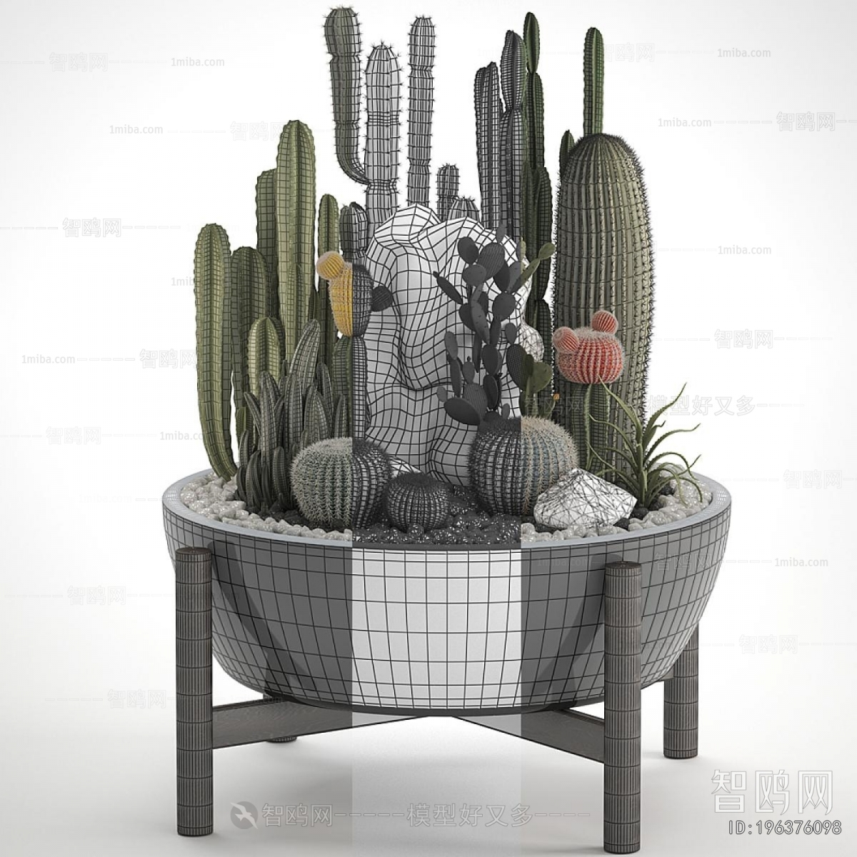 Modern Plant Landscaping