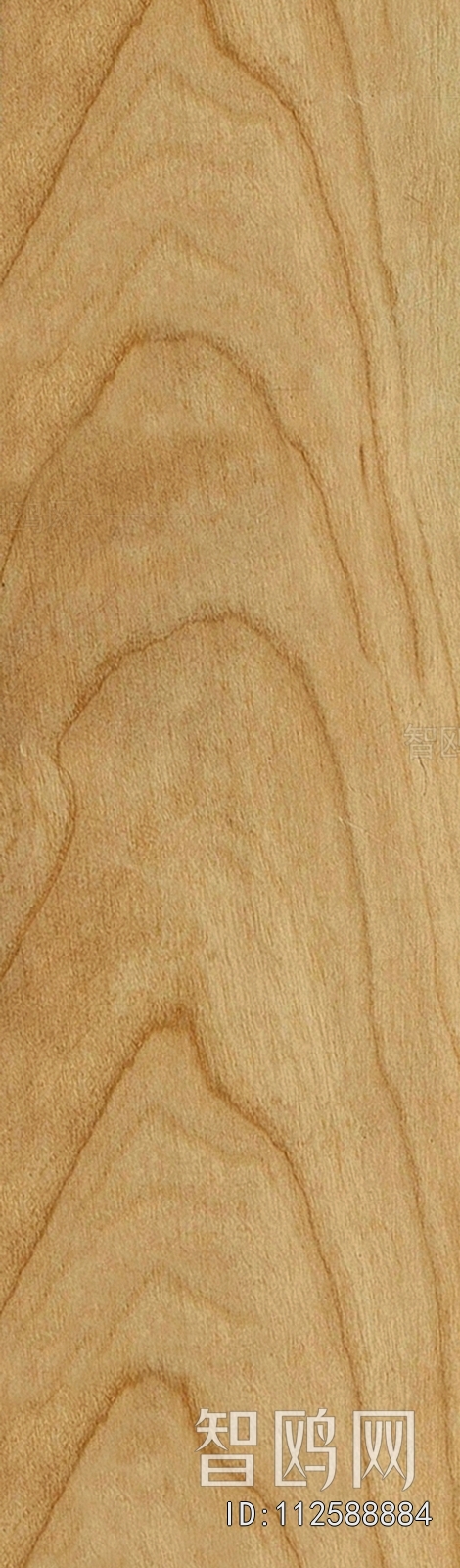 Wood Texture