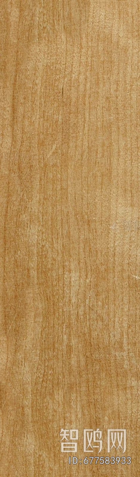 Wood Texture