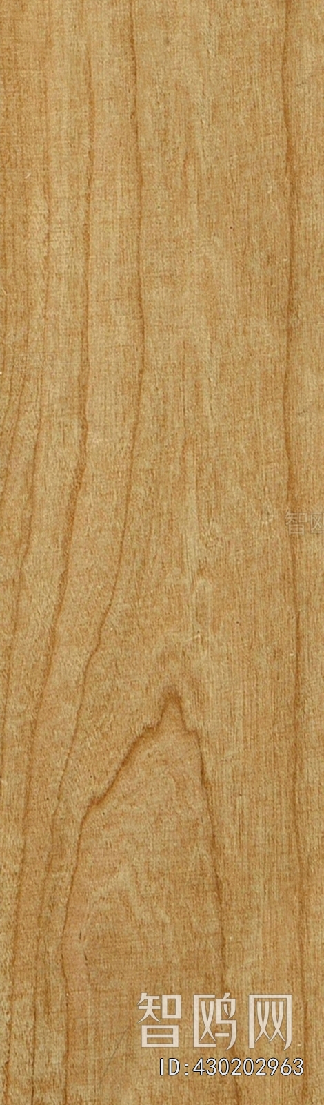 Wood Texture
