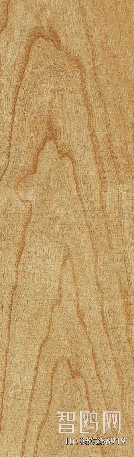 Wood Texture