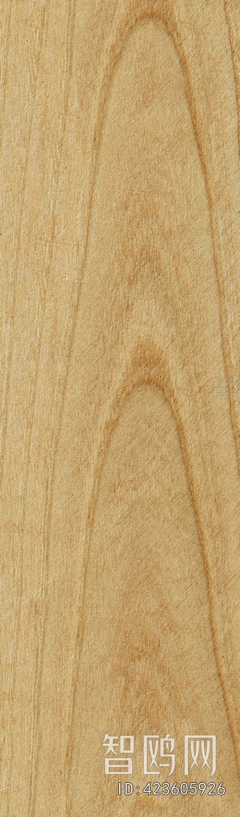 Wood Texture