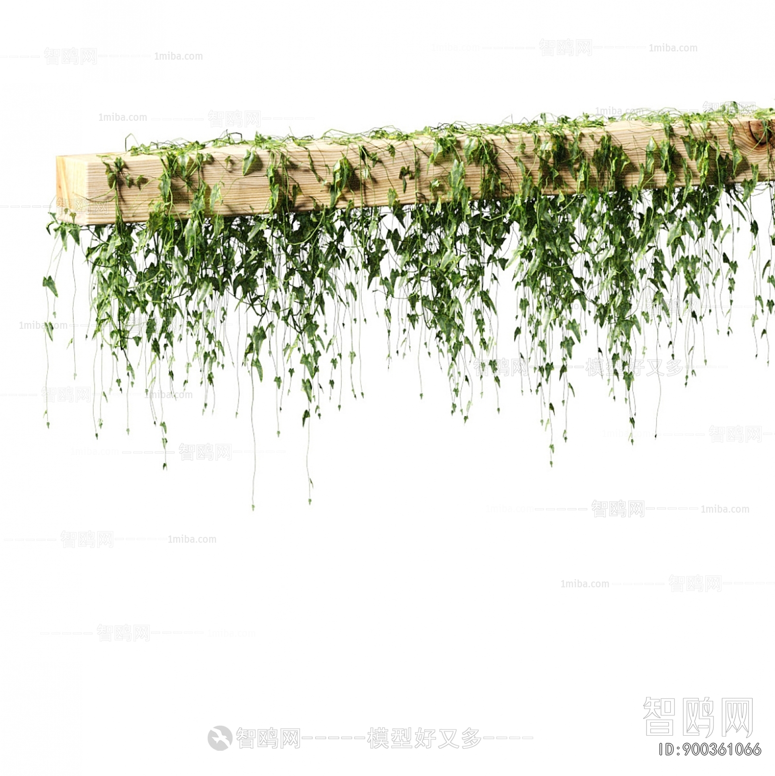 Wabi-sabi Style Vine