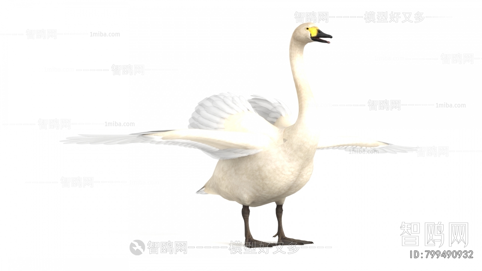 Modern Flying Animals
