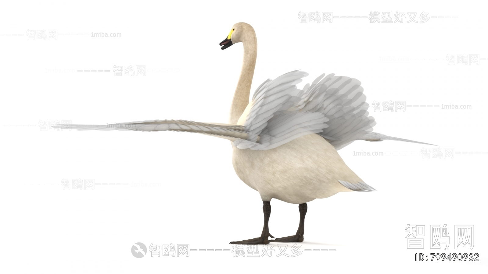 Modern Flying Animals