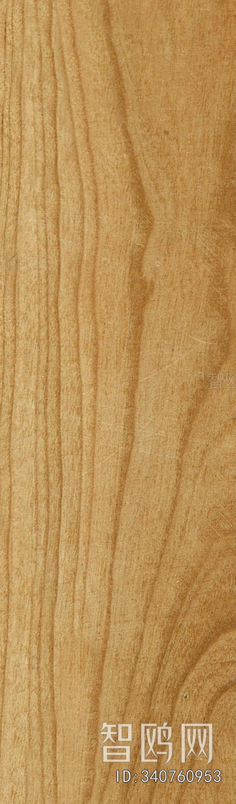 Wood Texture