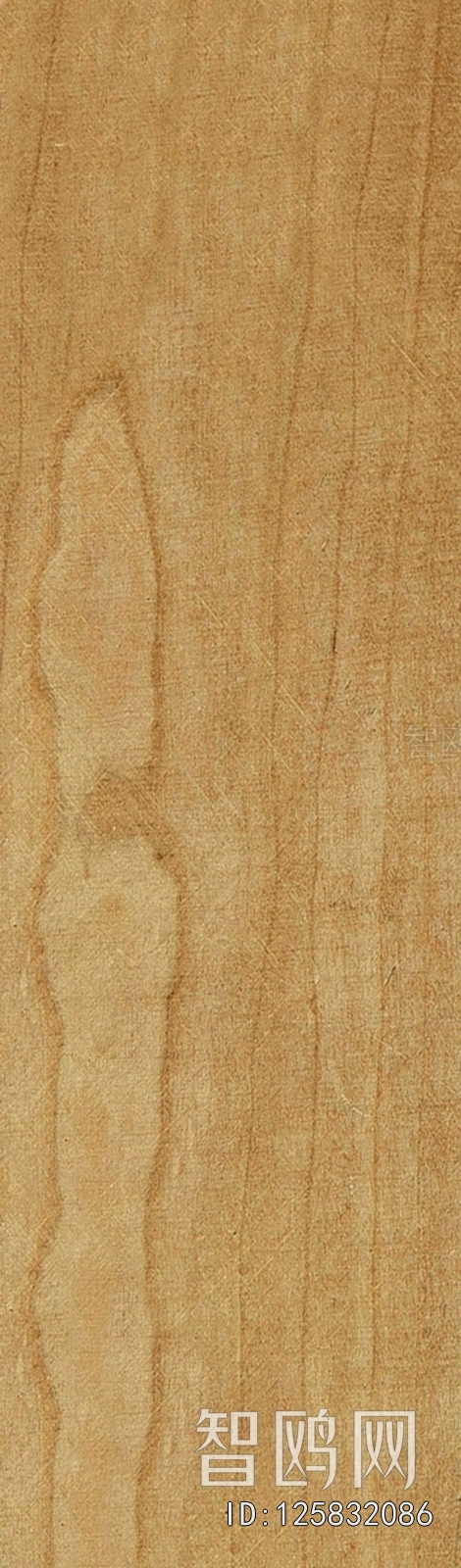 Wood Texture