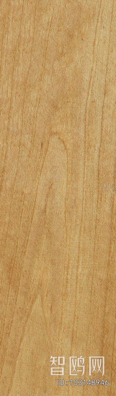 Wood Texture