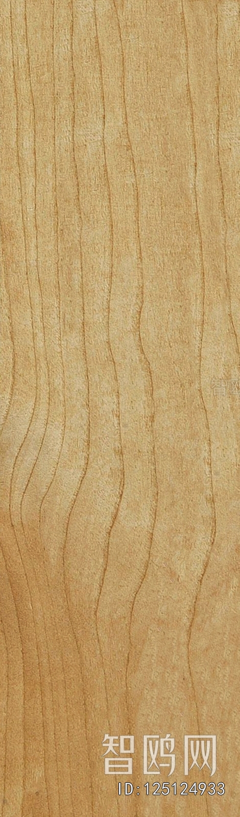 Wood Texture